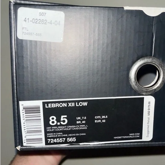 Nike Lebron 12 Low Court Purple - Picture 9 of 9